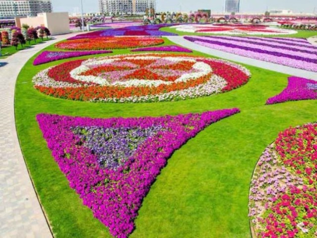 Dubai Miracle Garden2