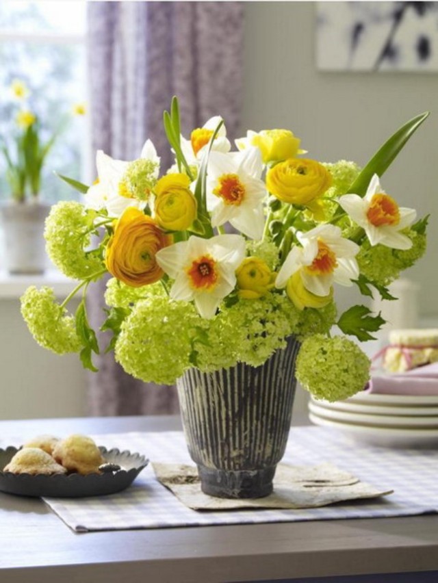 spring-flowers-new-ideas-narcissus7