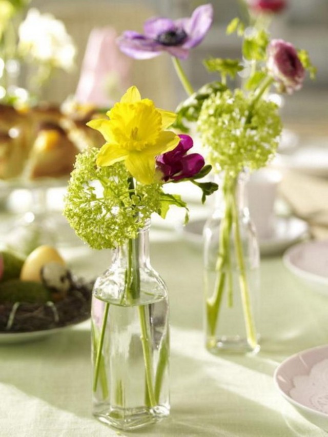 spring-flowers-new-ideas-narcissus8