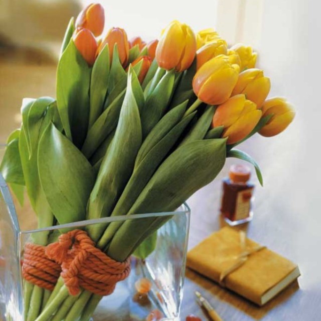 spring-flowers-new-ideas-tulip2-10