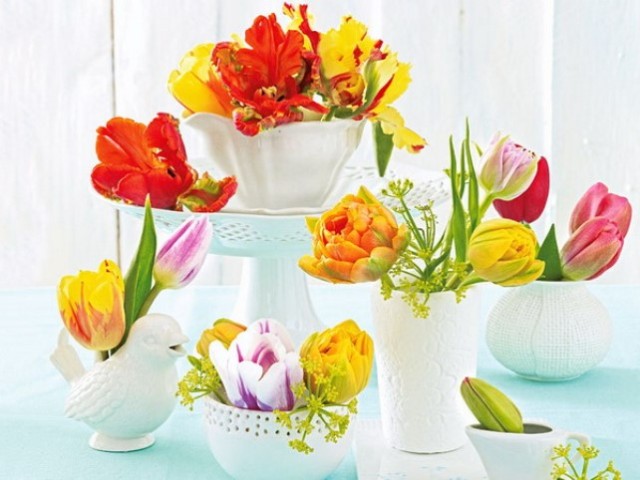 spring-flowers-new-ideas-tulip2-13
