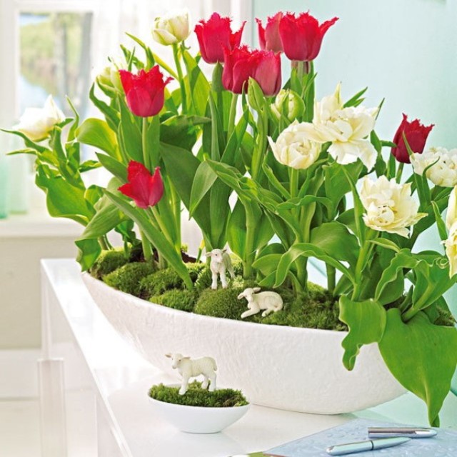 spring-flowers-new-ideas-tulip2-14