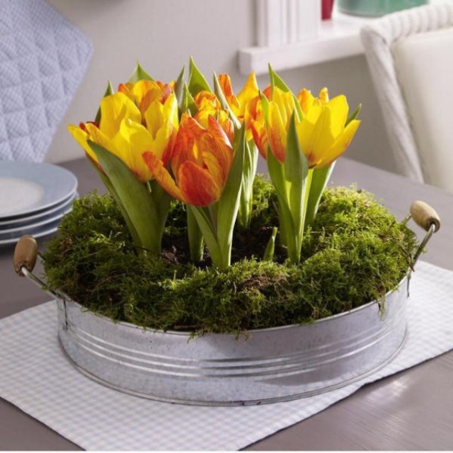 spring-flowers-new-ideas-tulip2-17