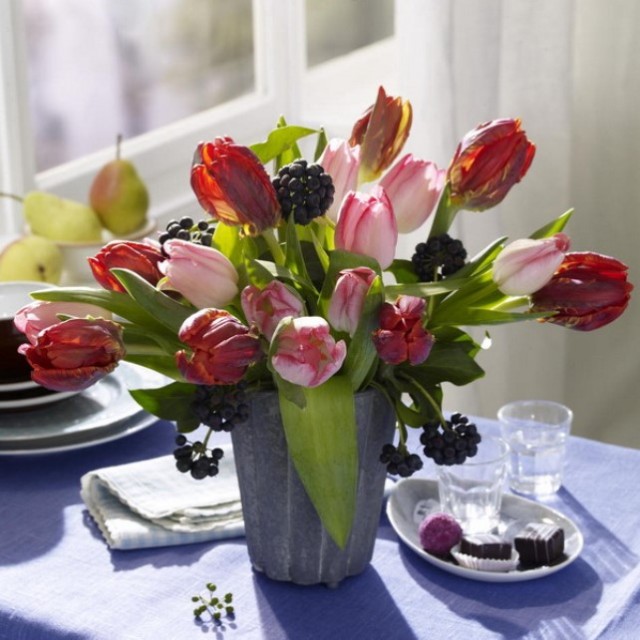 spring-flowers-new-ideas-tulip2-24