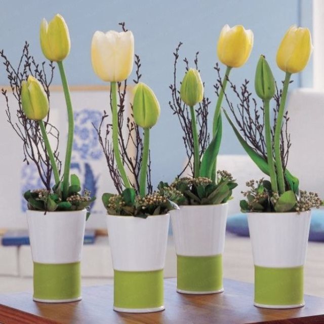 spring-flowers-new-ideas-tulip2-3
