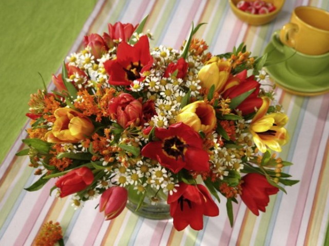 spring-flowers-new-ideas-tulip3-2