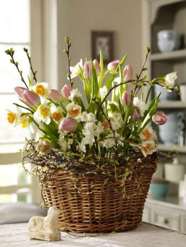 spring-flowers-new-ideas-tulip3-5